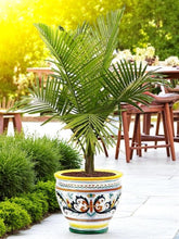 RICCO DERUTA DELUXE: Luxury Cachepot Planter LARGE