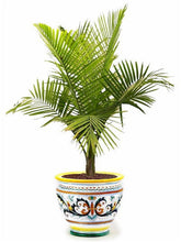 RICCO DERUTA DELUXE: Luxury Cachepot Planter LARGE