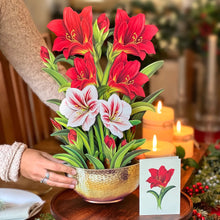 Scarlet Amaryllis Pop-Up Greeting Card