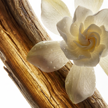 Driftwood & Gardenia Eau de Parfum