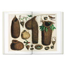Seba. Cabinet of Natural Curiosities (German, French, English)
