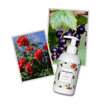Rose & Black Currant Hand & Body Lotion