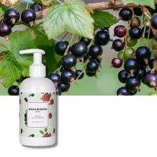 Rose & Black Currant Hand & Body Lotion