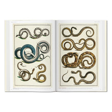Seba. Cabinet of Natural Curiosities (German, French, English)
