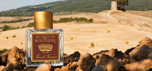 ACQUA DI BOLGHERI Terre di Toscana Eau de Parfum 50 ml