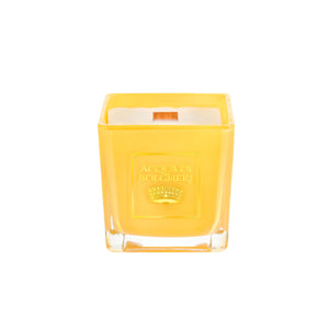 ACQUA DI BOLGHERI Oro Soy Wax Perfumed Candle