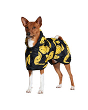 Dog Rain Poncho All Smiles x Smiley