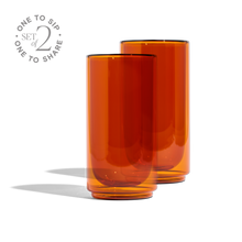 Cove 16oz Glass Pint - Set of 2 - Amber