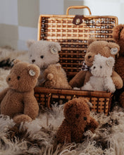 Plush BT CHAPS FREDERICK THE TRAVELLER BEAR in Giftbox 7"