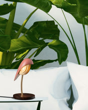 Desk Lamp BIRD Burnt Brick