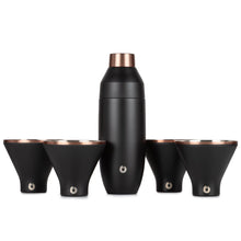 Stainless Steel Cocktail Shaker and Martini Glass Set, Black