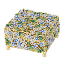 Daphne Box
