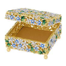Daphne Box