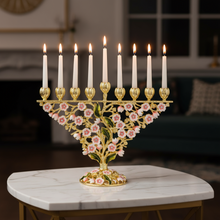Bella Menorah