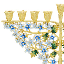 Daphne Menorah