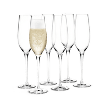 Holmegaard Cabernet Champagne Glass, Clear, 9.8 Oz, 6 Pcs.