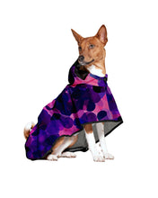 Dog Rain Poncho City Lights