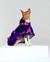 Dog Rain Poncho City Lights