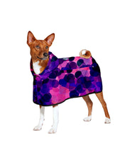 Dog Rain Poncho City Lights