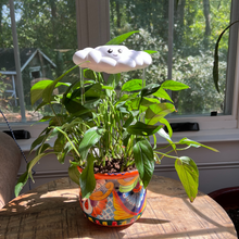 Cory the Cloud Dripping Watering Can