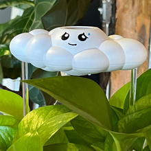 Cory the Cloud Dripping Watering Can