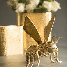 Queen Bee Black Nickel