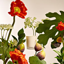 Fig and Olive Leaf Votive Candle