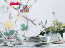 Rosenthal Dinnerware Brillance Fleurs Sauvages