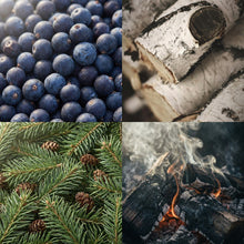 Juniper Birch 3-Wick Candle