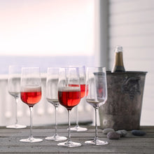 Holmegaard Bouquet Champagne Glass, Clear, 9.8 Oz, 6 Pcs.