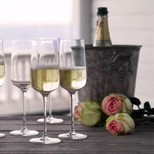 Holmegaard Bouquet Champagne Glass, Clear, 9.8 Oz, 6 Pcs.