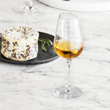 Holmegaard Bouquet Spirit Glass, Clear, 4.1 Oz, 6 Pcs.