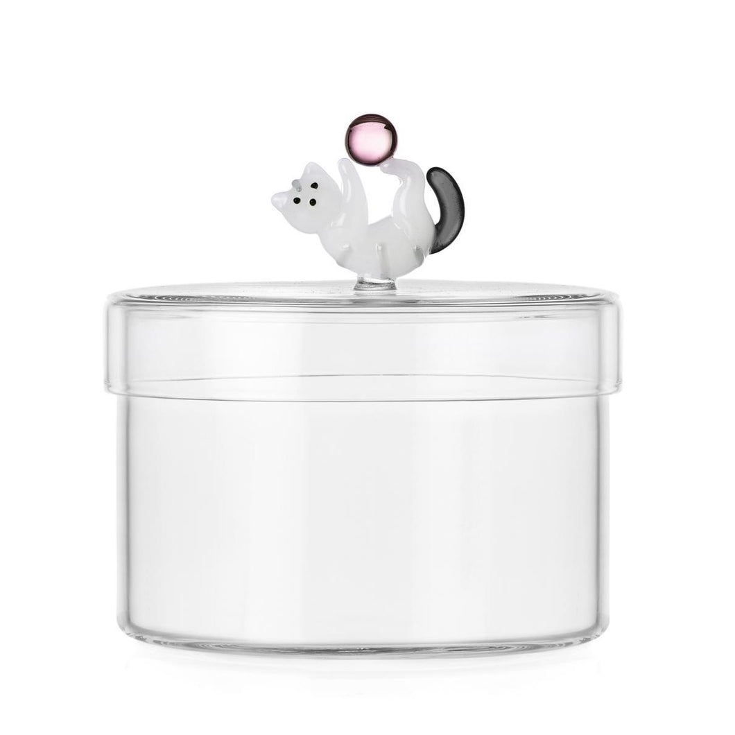 Ichendorf Tabby Cat - Box Cat With Pink Ball