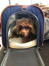 Mr. Peanut's Gold Series Big Apple XL Size Airline Compliant Expandable Pet Carrier V3.0