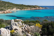 Herb Sardinia Organic Rosemary & Mint Delicate Shampoo 200 ml