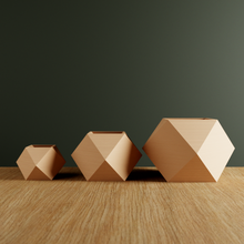 3-D Printed ICO Planter