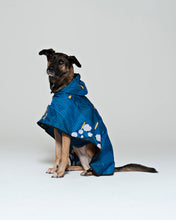 Dog Poncho Japanese Blossom