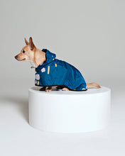 Dog Poncho Japanese Blossom