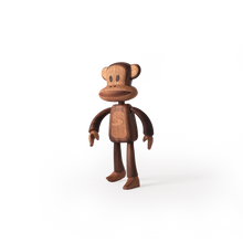 Boyhood Julius The Monkey