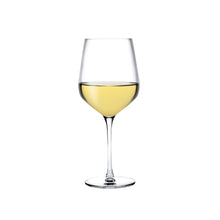 Refine Set of 2 Polyvalent Glasses