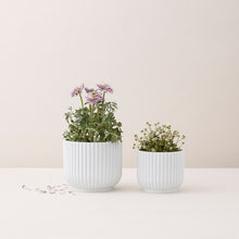 Lyngby Flower Pot, White