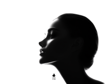 Le Visage
