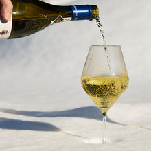 Library White Wine Glasses, Set of 4