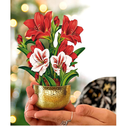 Christmas Pop Up MINI Card - Scarlet Amaryllis