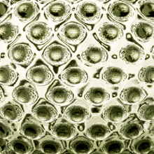 Hobnail Vase - Petal - Moss Green