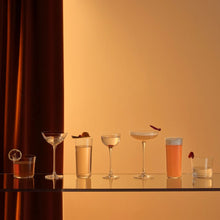 Savage Set of 4 Water Glasses