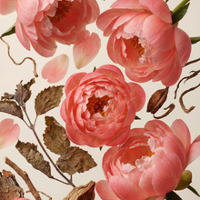 Peony & Patchouli Eau de Parfum