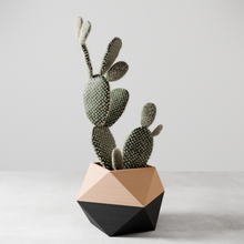3-D Printed ICO Planter