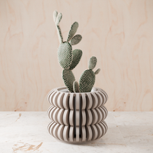 Triple Bubble Orchid Planter