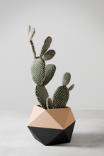 3-D Printed ICO Planter